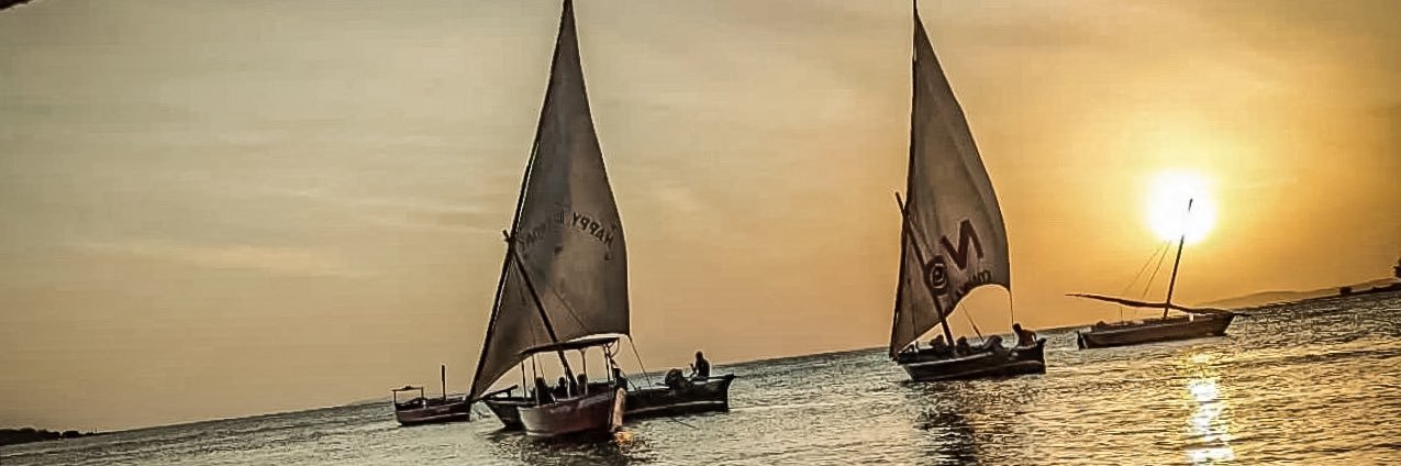 Dupicris's profile banner image