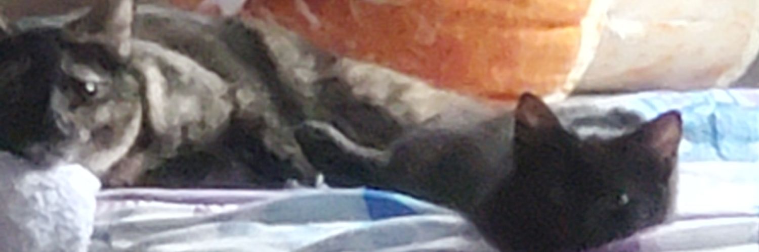 Titus024's profile banner image