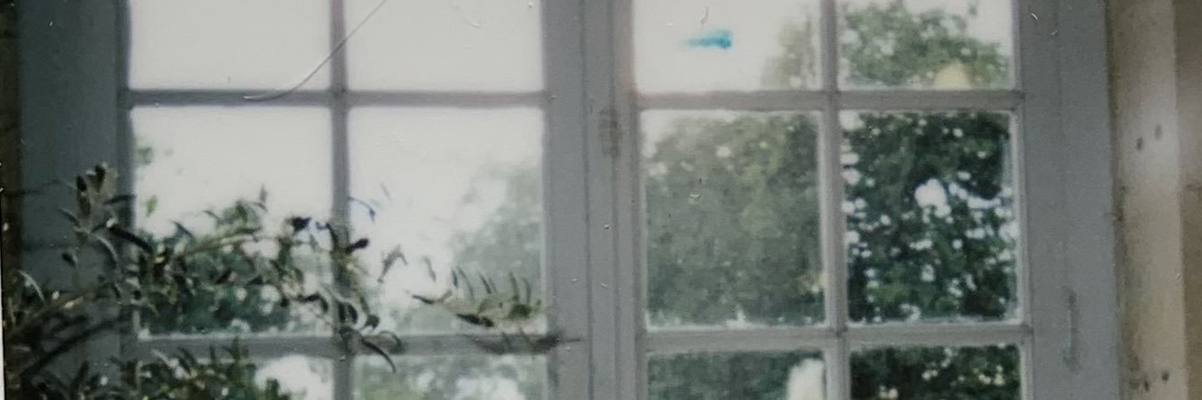maeell_'s profile banner image
