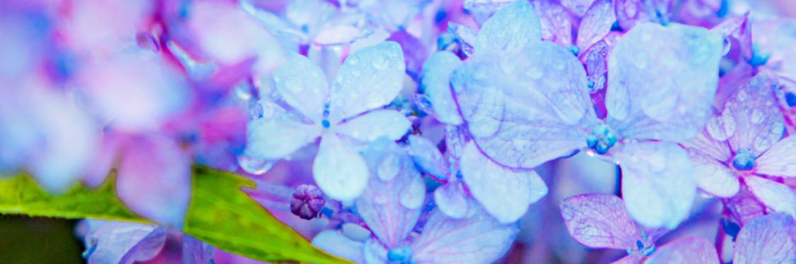 01oka_'s profile banner image
