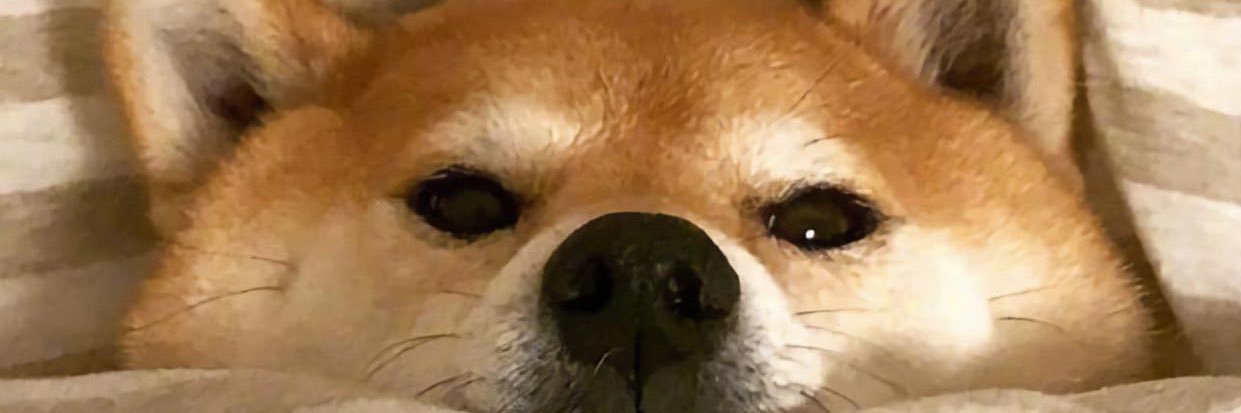 低速时区位 banner