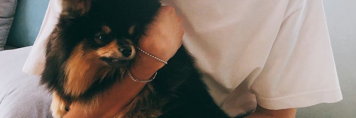 lee_0527's profile banner image