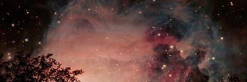 joisfox's profile banner image