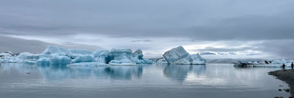 provilkov Profile Banner