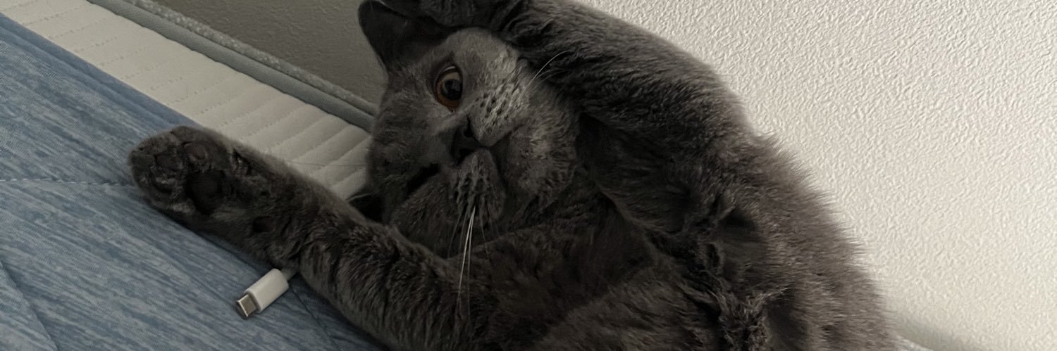 mo_ooooha's profile banner image