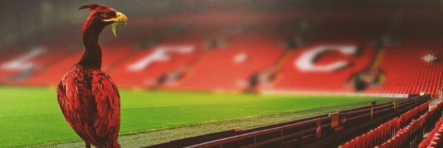 rezasulaeman's profile banner image
