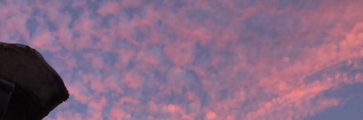 salmasg__'s profile banner image