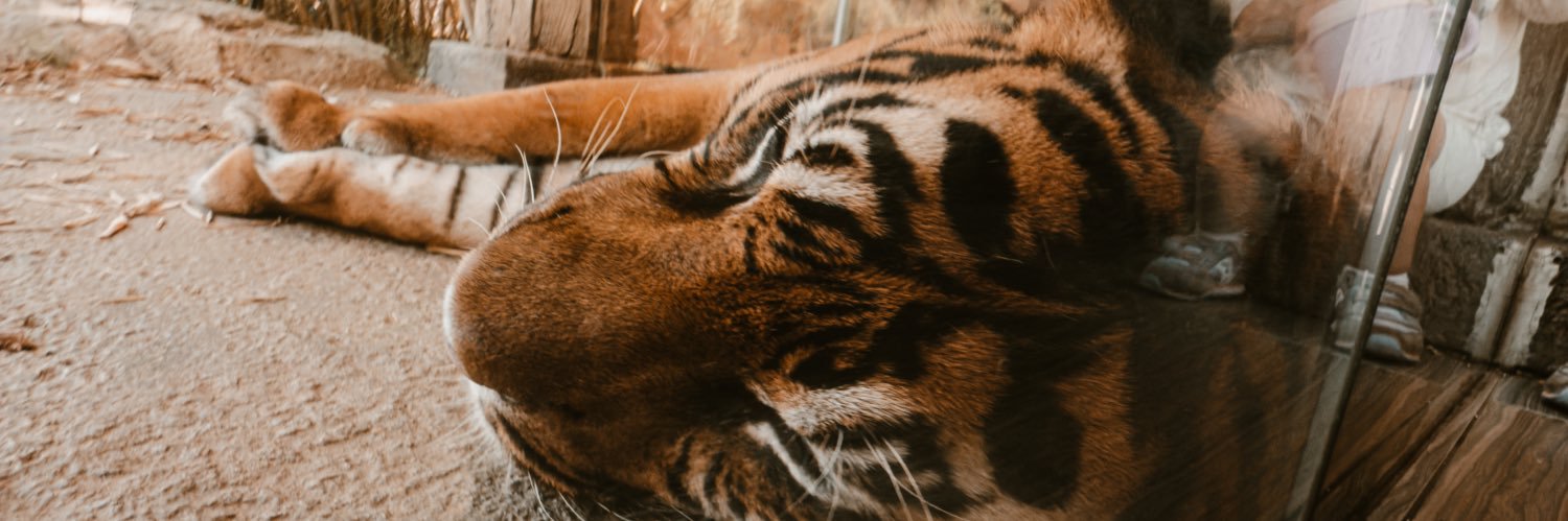 Slater Howard banner