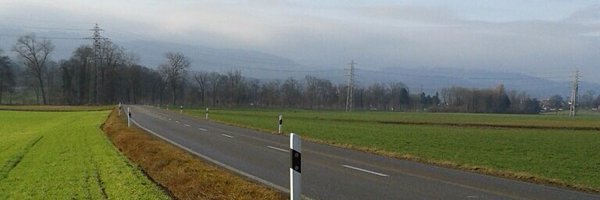 snorkels Profile Banner