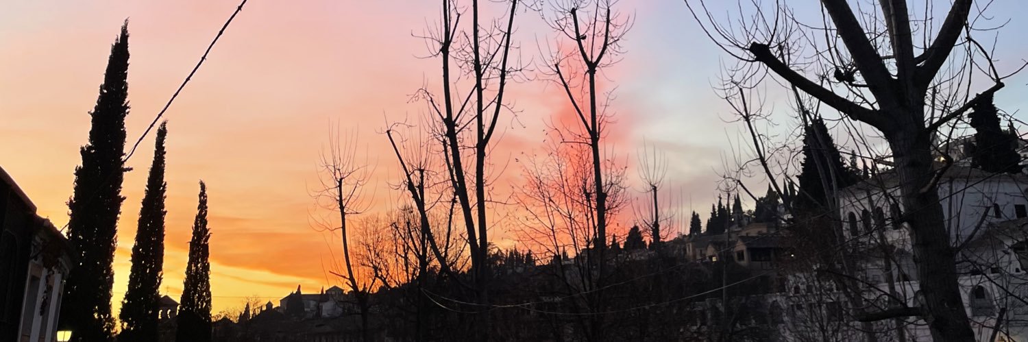 elisa✨ banner