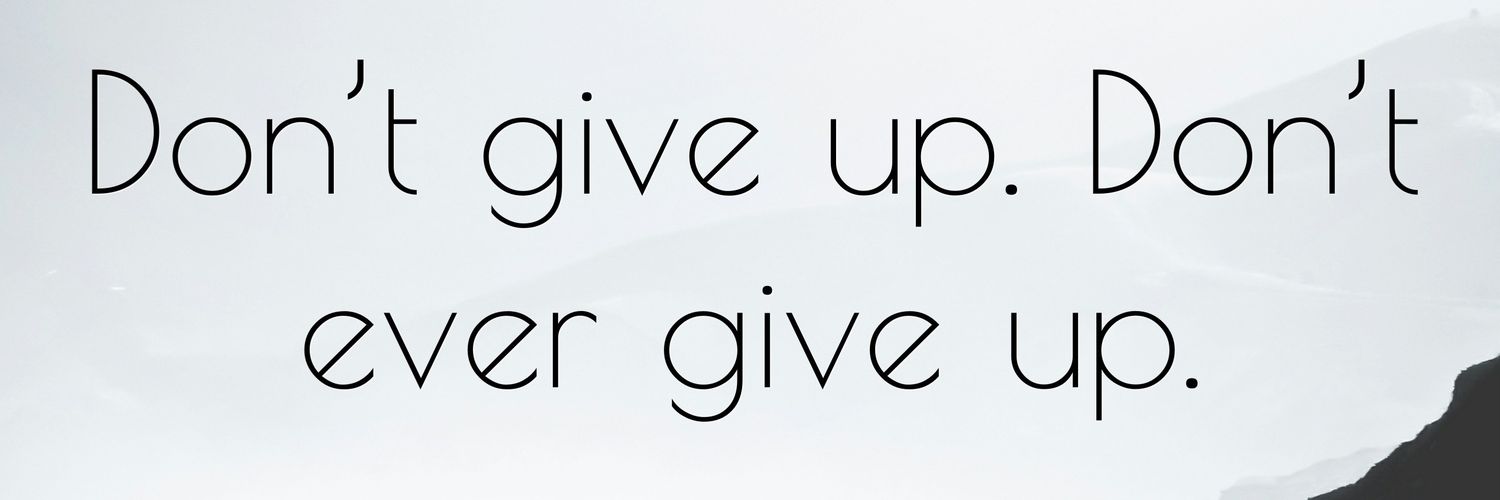 Sasquatch 831 banner