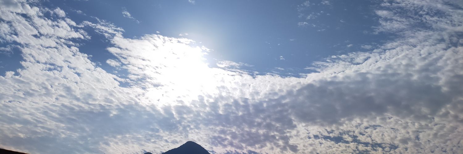 pochi007's profile banner image