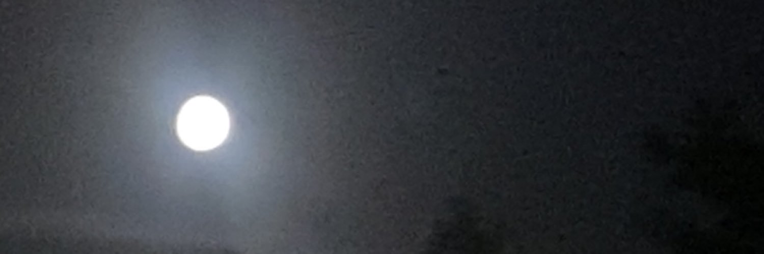 Syer banner