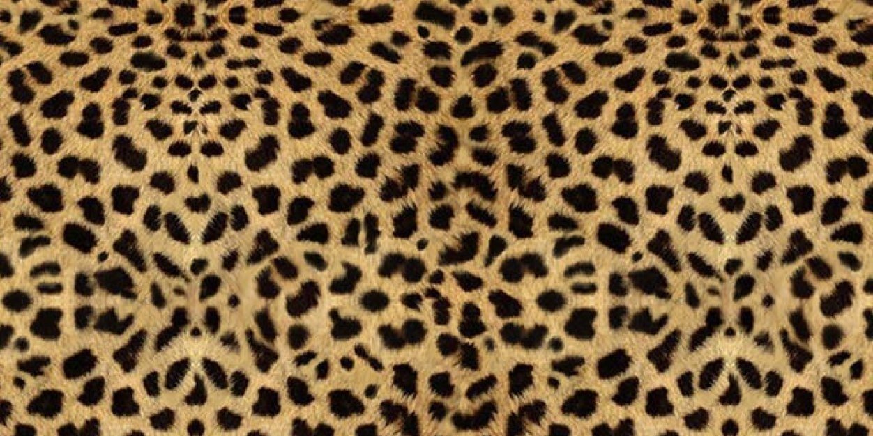AlexiiaCaudal's profile banner image