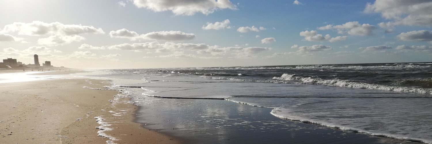 Estival Solstice banner