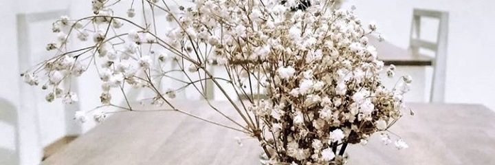 diniayulest's profile banner image