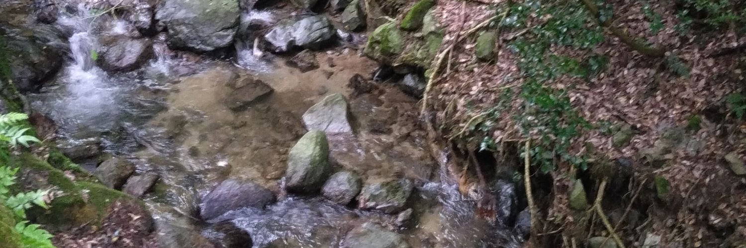 TR178NZ's profile banner image