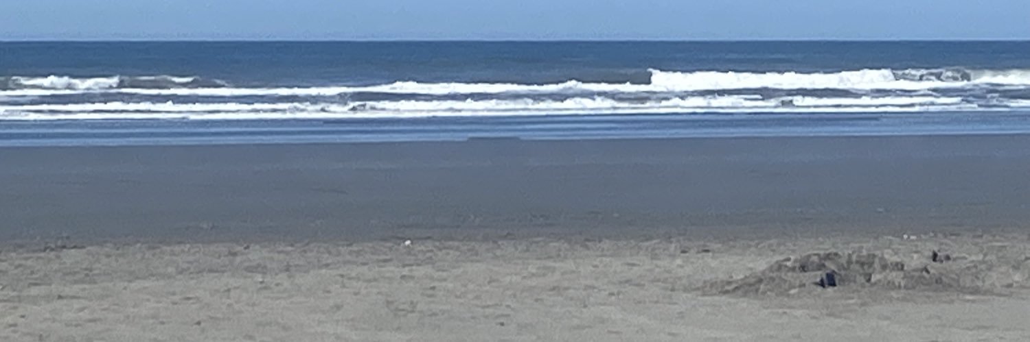 חתולמפלצת banner