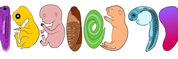 PJCDevBio Profile Banner