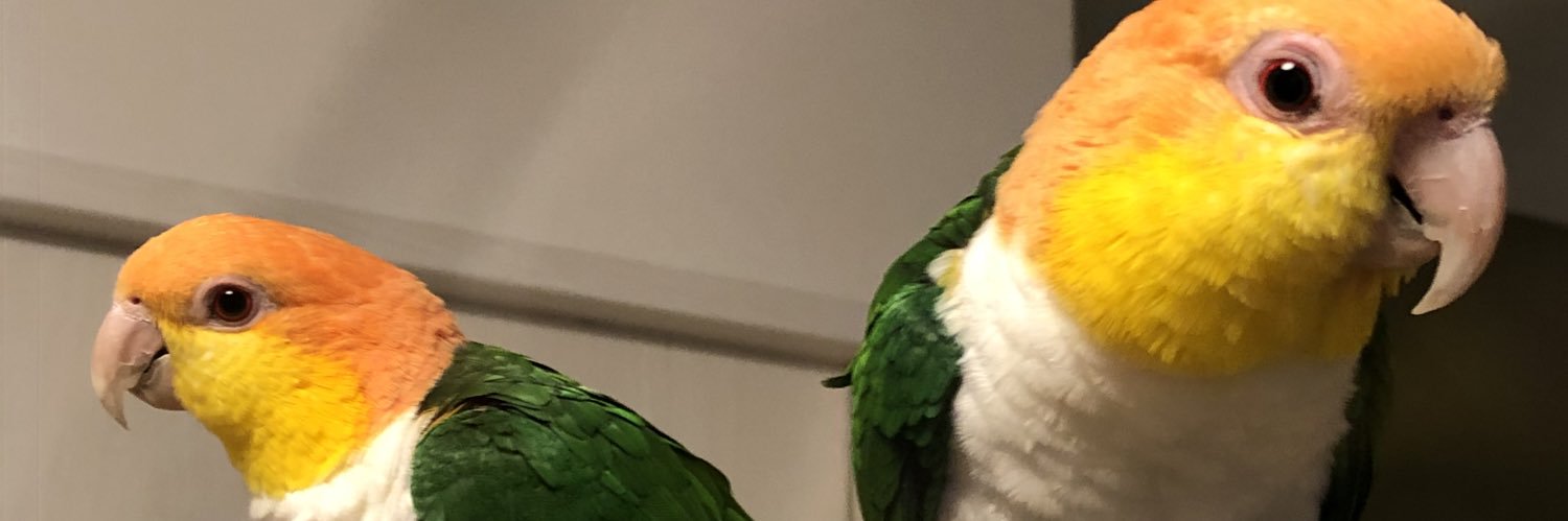 ようちる banner
