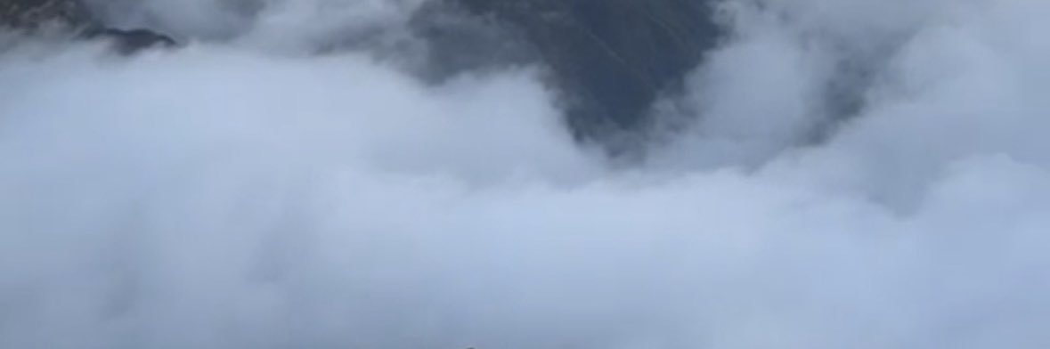 __angelax__'s profile banner image