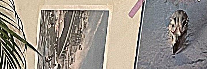 ･ﾟ 𓍼 𝒫𝓇𝒾𝓂𝓂𝒾𝑒 𓍼 ﾟ･ banner