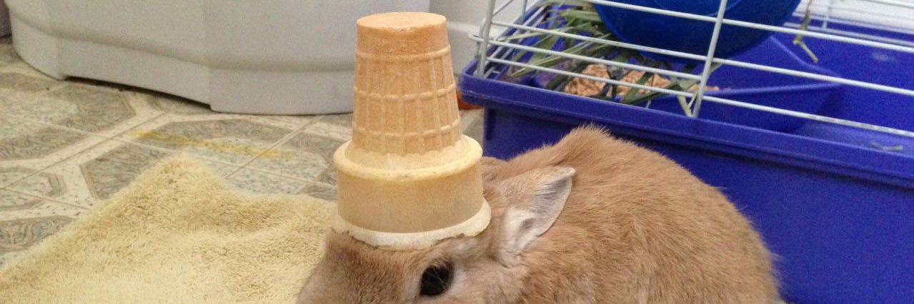 ウサ子です banner