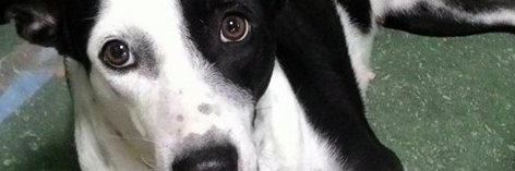 kirye80's profile banner image