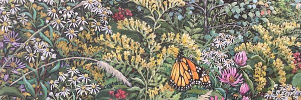 AndrewsonEarth Profile Banner