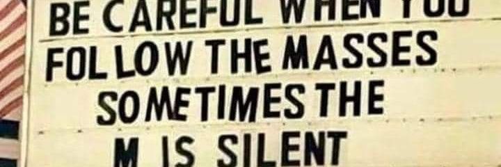 Red Panda in the Woods banner