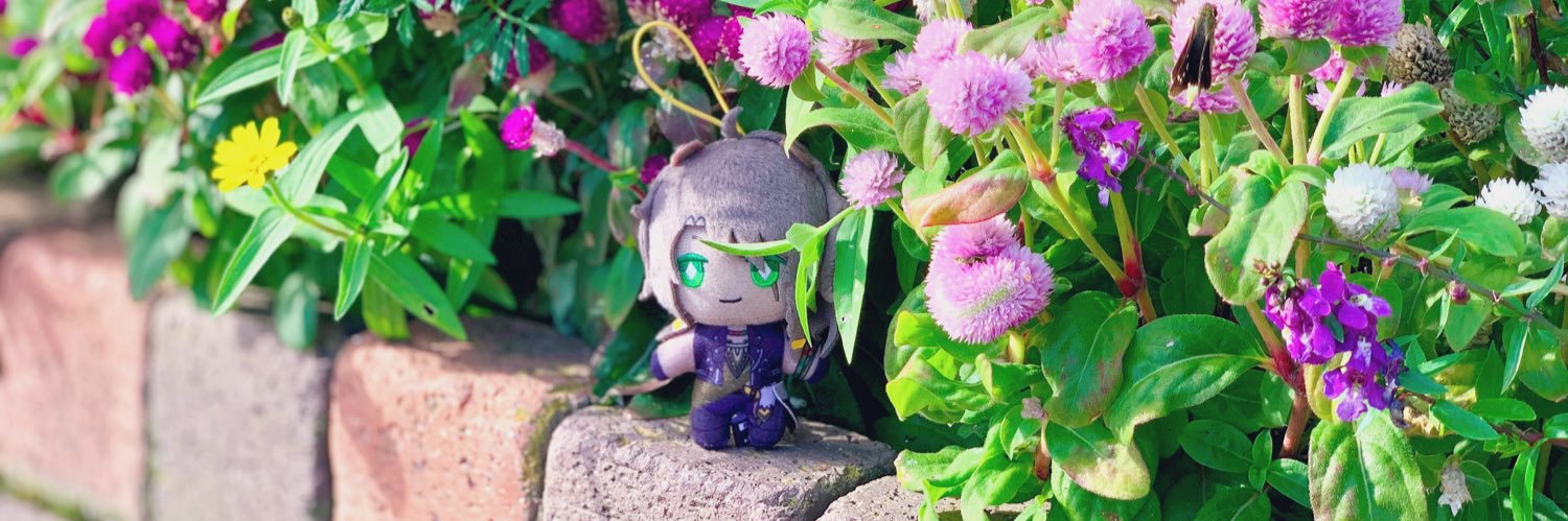 header image