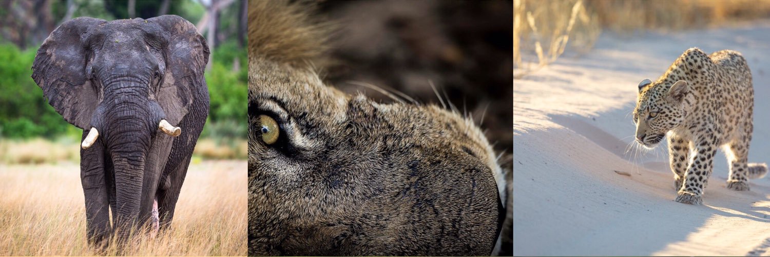 JacksBadenhorst's profile banner image