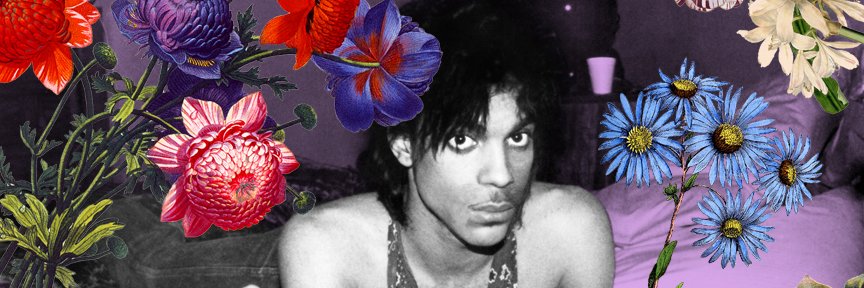 🍭 banner