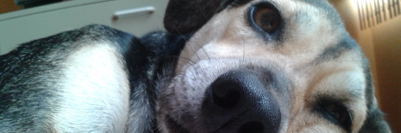 claulopezg14's profile banner image