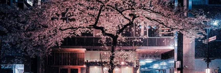 EFFIE__eth's profile banner image