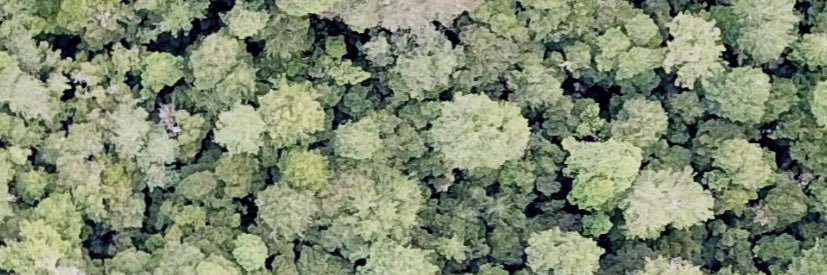 mjklause's profile banner image