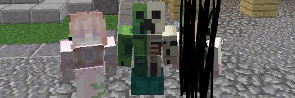 kamkampace12 Profile Banner