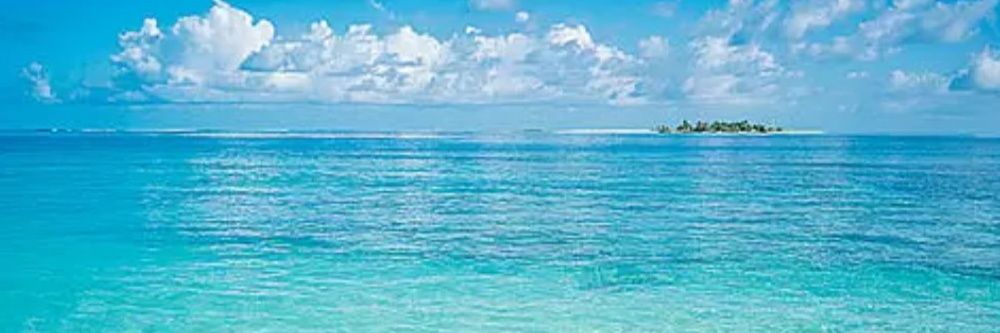 osora_33's profile banner image