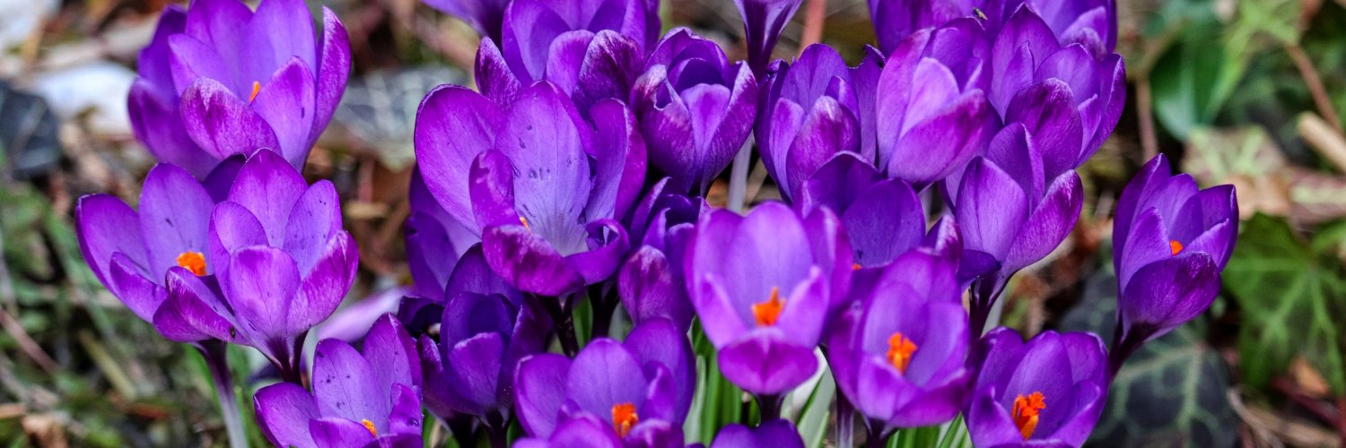 Główny Inspektorat Ochrony Środowiska banner