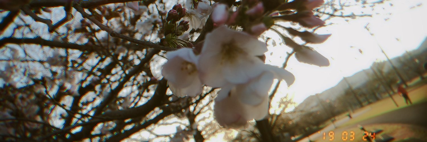 hm_ami's profile banner image
