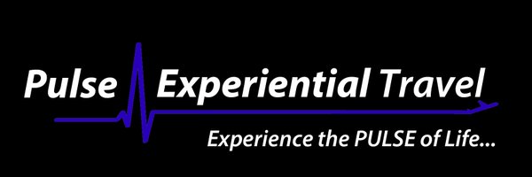 PulseExpTravel Profile Banner