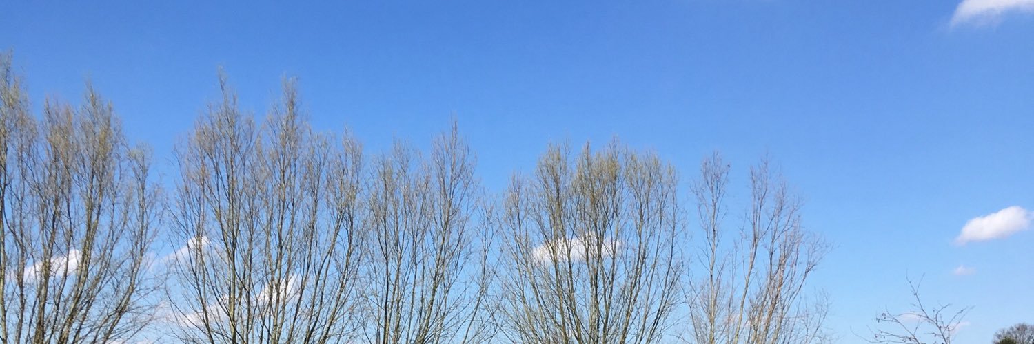 Roddy De Schepper banner