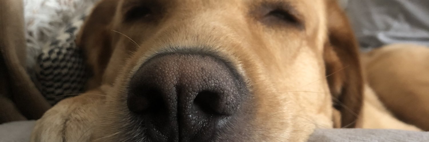 Angel Gandara -Txopi banner