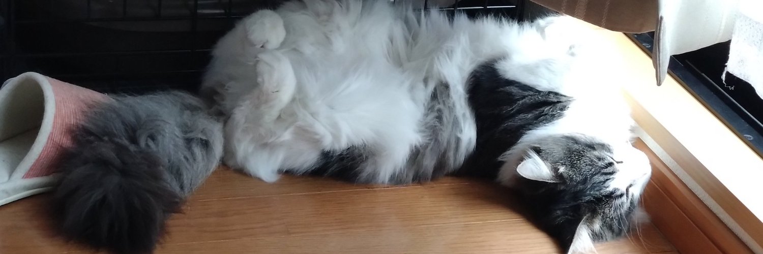 飼い猫溺愛のおに banner