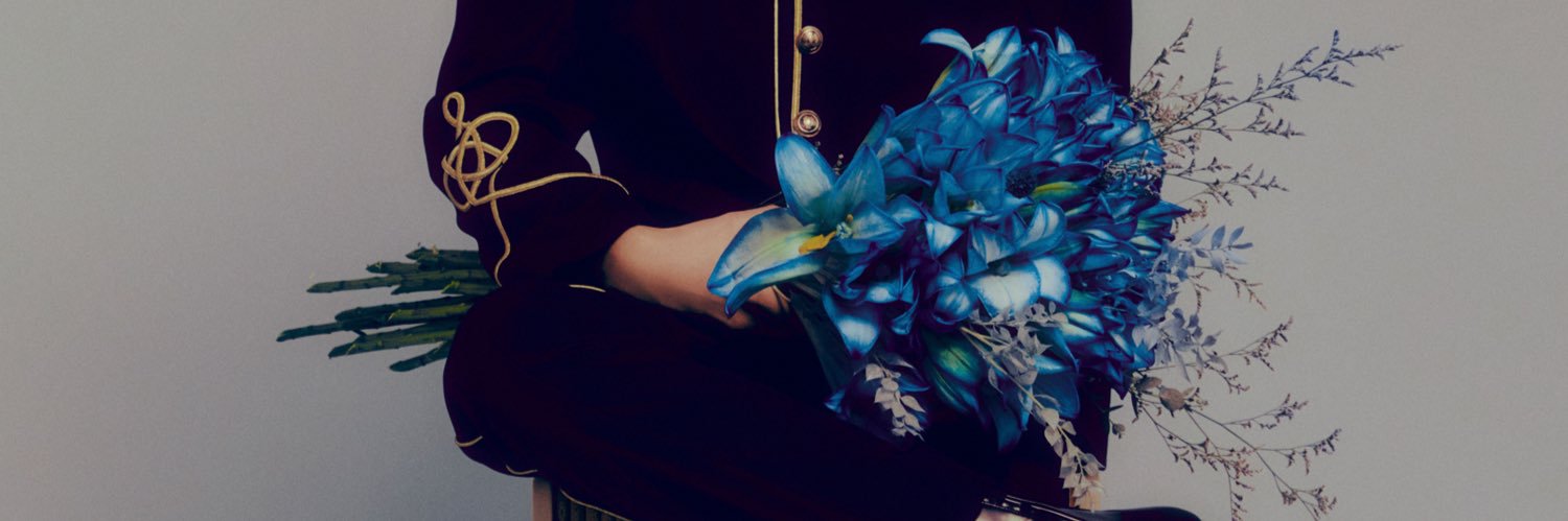 dila banner