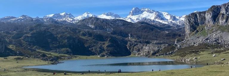 leire_abecia's profile banner image