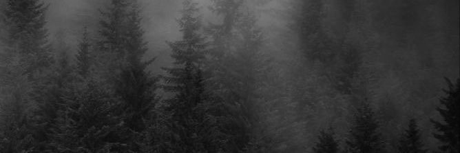 ryszard z klanu 🩸 banner