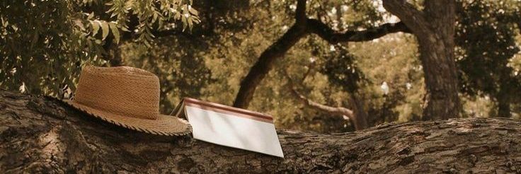 akucewekcool's profile banner image