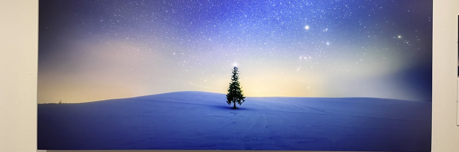 shamon@REALIVE4/11参戦 banner