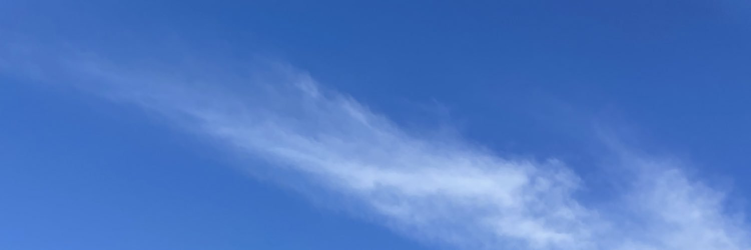 すぎ banner